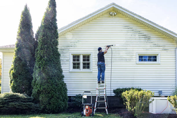 Professional Pressure Washing Services in Middleburg, FL
